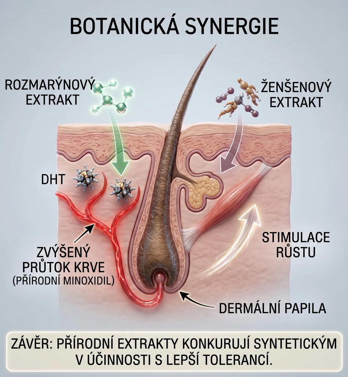 <p><strong>BOTANICKÁ SYNERGIE (Rozmarýn & Ženšen)</strong></p><p><strong>Objev:</strong> Bylinné extrakty úspěšně konkurují syntetice. Studie potvrdila, že rozmarýnový olej stimuluje růst vlasů stejně účinně jako 2% minoxidil, avšak s výrazně menším podrážděním pokožky.</p><p><strong>Co jsme se naučili:</strong> Příroda nabízí vlastní silné mechanismy pro prokrvení a blokování DHT, které plnohodnotně nahrazují syntetické léky.</p>