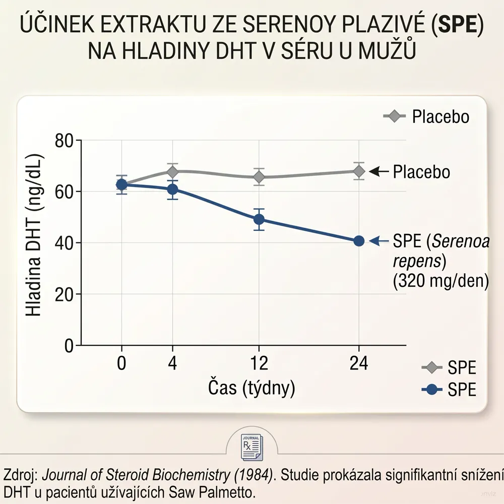 <p><strong>Přírodní štít (Saw Palmetto)</strong></p><ul><li><strong>Objev:</strong> Laboratorní studie potvrdily to, co tušili starý Indiáni – extrakt ze Saw Palmetto (Serenoa plazivá) dokáže blokovat enzym, který mění testosteron na ničivý DHT.<br/></li><li><strong>Co jsme se naučili:</strong> Existuje bezpečná, přírodní cesta, jak chránit vlasový kořínek před „zmrštěním“ bez tvrdé chemie.</li></ul>